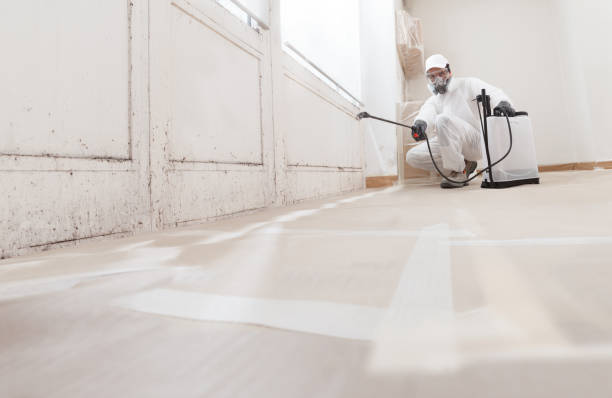 24/7 Emergency Basement Mold Remediation experts in Bayville, NY